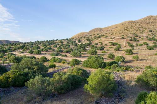 an open field with trees on a hill at Casas Rurales La Minilla in Los Albaricoques