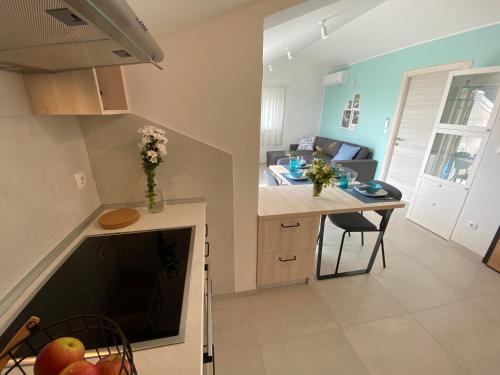 Η κουζίνα ή μικρή κουζίνα στο Apartment Vital Nerezine