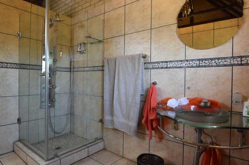 a bathroom with a shower and a sink at Thabong Bed and Breakfast in Brakpan