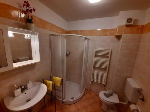 La salle de bains est pourvue d'une douche, de toilettes et d'un lavabo. dans l'établissement Apartment Honey Bee with SAUNA, à Kobarid