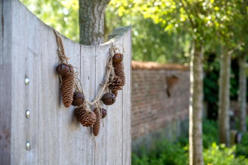a bunch of hazelnuts hanging on a wooden wall at B&B Het Soetewater in Beernem