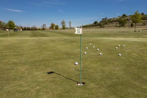 a bunch of balls are lined up on a golf course at Darovanský Dvůr - Wellness & Golf Hotel in Břasy