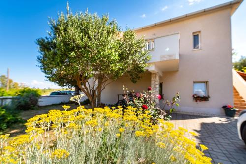 una casa con un árbol y flores delante de ella en Apartments Milka, en Povljana