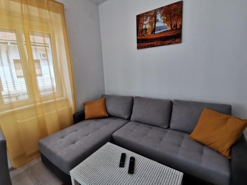 a living room with a gray couch and a table at RIS CENTRAL Apartments in Novi Sad