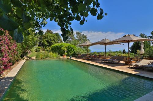 une piscine avec chaises et parasols dans l'établissement Le Mazet de Tourrettes, à Tourrettes-sur-Loup