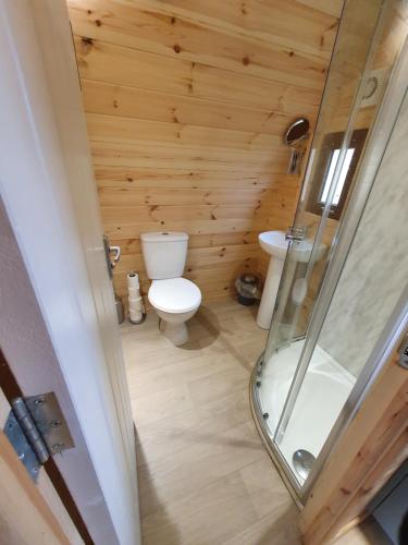 un piccolo bagno con servizi igienici e doccia di Priory Glamping Pods and Guest accommodation a Killarney