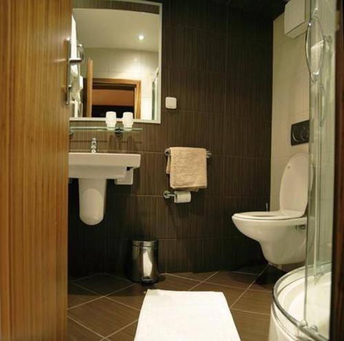 a bathroom with a sink and a toilet and a mirror at Penzion Beryl in Košice