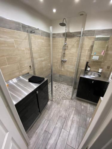 une grande salle de bain avec douche et lavabo dans l'établissement Beau deux pièces sur Gambetta, à Nice