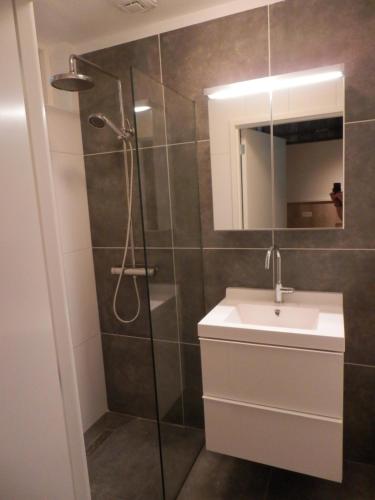 a bathroom with a shower and a sink and a mirror at 't Grüne Huysje in Otterlo