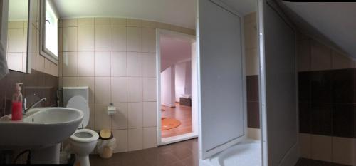 Ванная комната в “Doru’ Muntelui”
