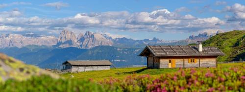 two houses on a hill with mountains in the background at Sonnenhotel Adler Spa & Nature Adults only in Villandro