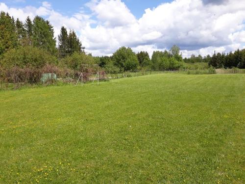 a large field with green grass and trees at Dom pod Wierzbami in Gołdap