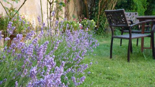 a chair sitting in the grass next to some purple flowers at Chambres d'hôtes Coté Halles in Pamproux