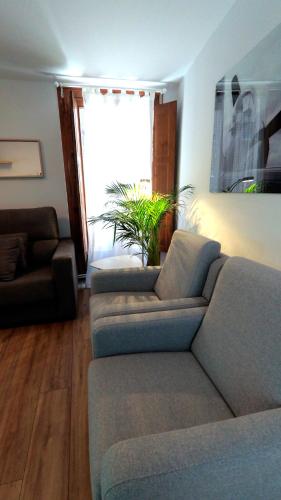 a living room with a couch and a window at APARTAMENTOS EL POZO AMARGO in Toledo