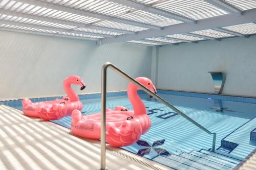 Bazén v ubytování Flamingo Beach Hotel & Spa nebo v jeho okolí