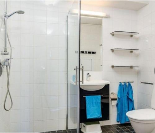 bagno con doccia, lavandino e servizi igienici di Kungsberget - Åhus B a Järbo