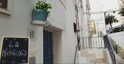 una pianta in un vaso appesa a un lato di un edificio di La Nchioscia a Ostuni