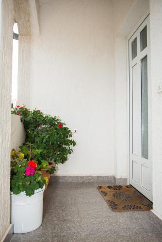 an open door with two potted plants on a porch at Apartments Lovrić in Vodice