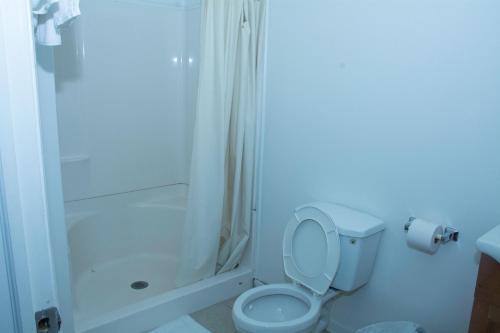 a bathroom with a toilet and a shower at At 9 Motel in Howell