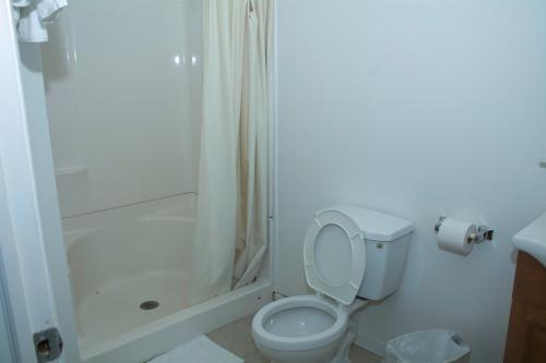 a bathroom with a toilet and a shower at At 9 Motel in Howell