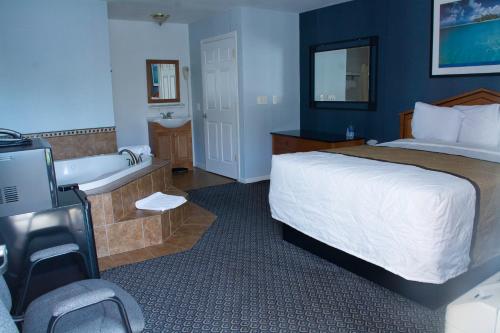 Habitación de hotel con cama y bañera en At 9 Motel, en Howell