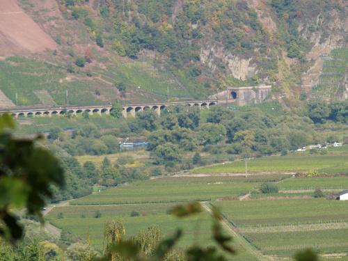 Gallery image of B&B Briedel in Briedel