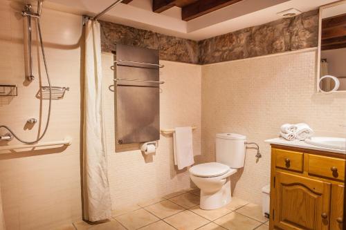 a bathroom with a toilet and a sink and a shower at Apartamentos Rurales El Tio Pablo Picos de Europa Tresviso in Tresviso