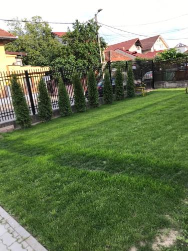 a yard with a fence and green grass at Casa Topazz in Târgu Jiu