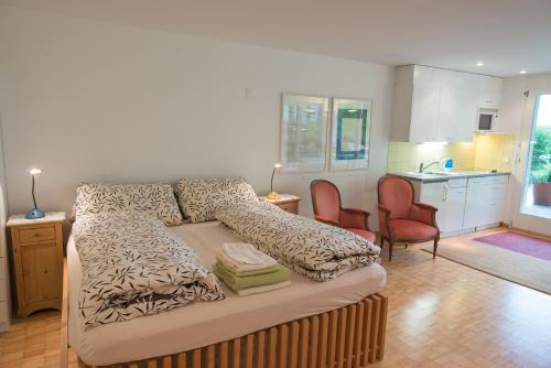 a living room with a couch and a kitchen at Grava - Ferienwohnung für max. 2 Personen in Laax