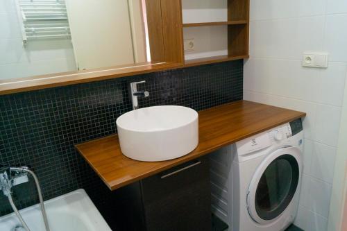 a bathroom with a sink and a washing machine at Krejcarek Garden Apartment in Prague