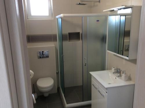 RadanovićiにあるApartments Raskovic Iのシャワー、トイレ、洗面台を備えたバスルーム