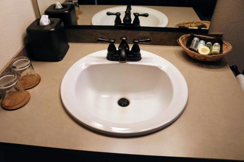 a bathroom sink with a faucet on a counter at Iowa House Historic Inn in Ames