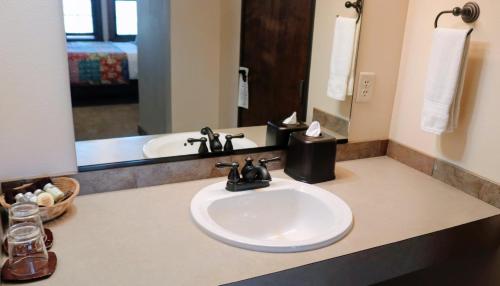 a bathroom with a white sink and a mirror at Iowa House Historic Inn in Ames