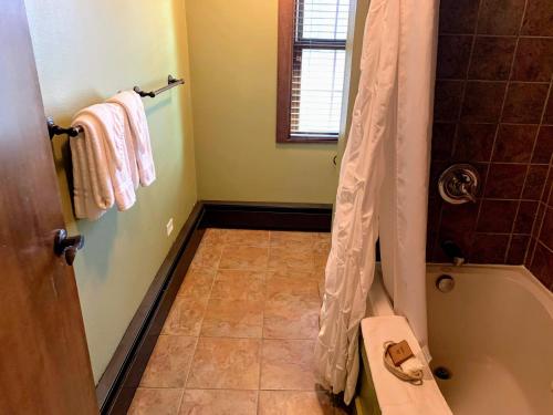 a bathroom with a shower and a tiled floor at Iowa House Historic Inn in Ames