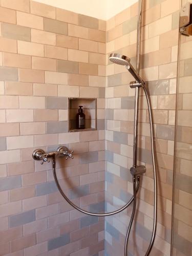 a shower with a glass door in a bathroom at Katjas Kate Gartenwohnung in Prerow