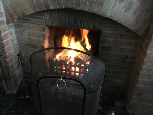 The Blue Boar