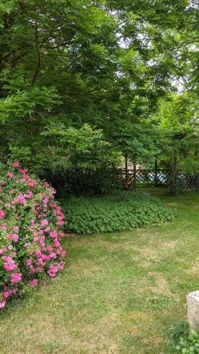 a group of pink flowers in a park at L´Aveneau in Le Retail