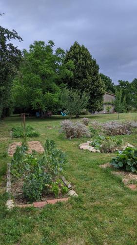 a garden with some plants in the grass at L´Aveneau in Le Retail