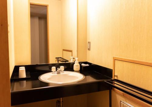 a bathroom with a sink and a mirror at Uematsuya in Ueda