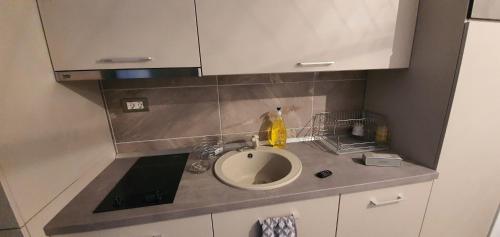 un piano di lavoro con lavandino e lavandino di ZIAN'S Studio Mamaia Nord Beach Resort a Mamaia Nord - Năvodari