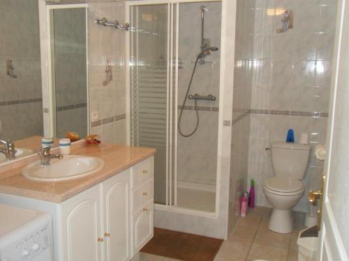 a bathroom with a shower and a toilet and a sink at Gîte en Baie du Mont Saint Michel in Cherrueix