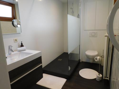 a bathroom with a sink and a shower and a toilet at Kruitenberg in Bruges