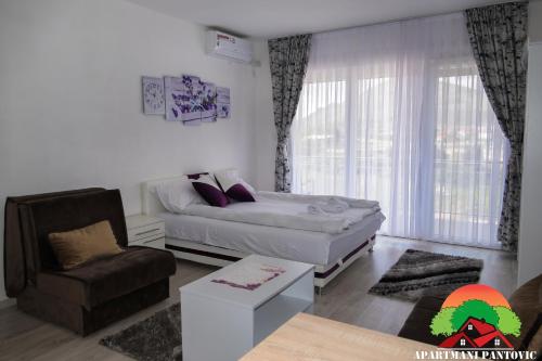 a living room with a bed and a chair at Apartmani Pantovic - Apartman 2 in Trebinje