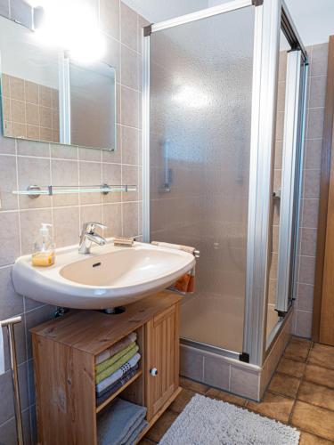a bathroom with a sink and a shower at Ferienhaus Waldidyll in Lemgo