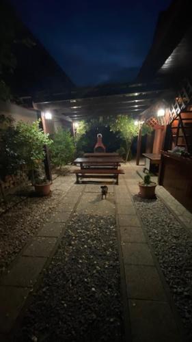 a person sitting on a bench in a garden at night at Holiday Home V Kolte in Kolta