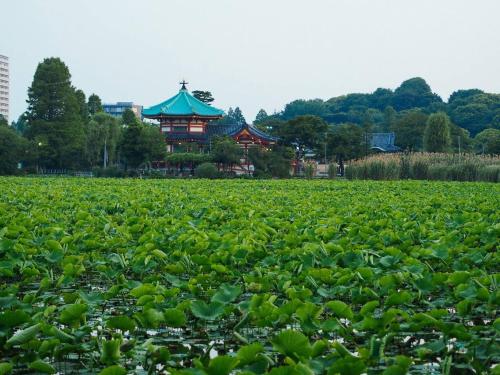 寅ホテル 台東 Hotel 寅 台东 Tora Hotel Taito A