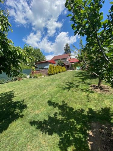 a yard with a house and a tree in the grass at Holiday Home V Kolte in Kolta
