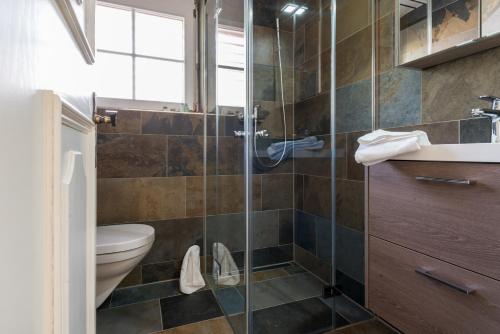 a bathroom with a shower and a toilet and a sink at Montela Hotel & Resort - Casa Antares in Saas-Grund