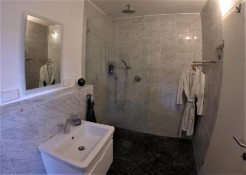 een badkamer met een wastafel, een douche en een toilet bij Ahrweiler Seelchen in Bad Neuenahr-Ahrweiler