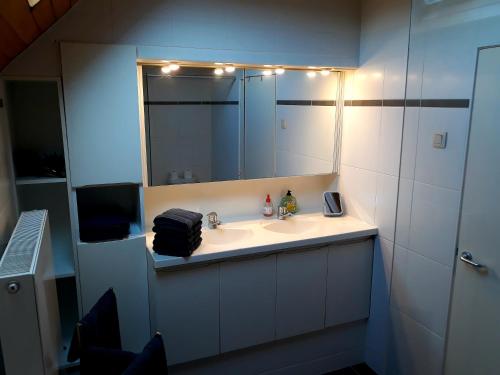 a bathroom with a sink and a mirror at Vakantiewoning FINE FLEUR in Bruges